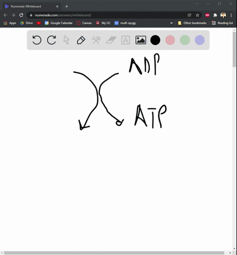 energy-for-muscle-contraction-initially-muscles-used-stored-atp-for-energy-bonds-of-atp-are-broken-to-release-energy-only-4-6-seconds-worth-ofatp-is-stored-by-muscles-after-this-initial-time-75013