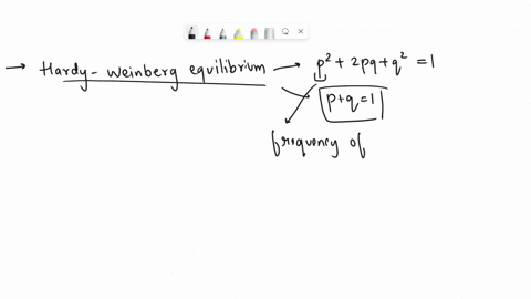 consider-a-population-of-100-individuals-and-the-frequency-of-the-a-allele-is-06-and-the-frequency-of-the-a-allele-is-04-if-the-following-fitness-values-for-each-genotype-are-applied-to-the-61884
