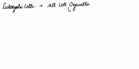 nudeus-organelle-question-14-eukaryoric-cells-choose-all-that-apply-can-make-singie-celled-or-multicellular-organisms-are-much-larger-than-prokaryouc-cells-nave-2-nucleus-ihave-organelles-qu-99722