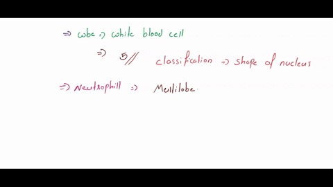 the-white-blood-cells-being-shown-thist-plcture-are-called-63386