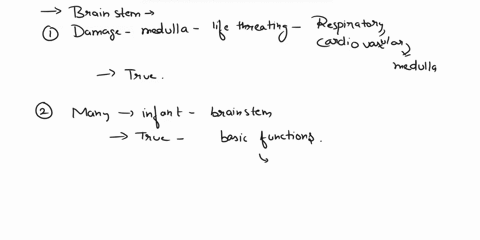 the-brainstem-is-divided-into-three-main-parts-the-midbrain-pons-and-medulla-oblongata-which-of-the-following-statements-regarding-the-brainstem-are-true-and-which-are-false-damage-to-the-me-63029