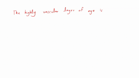 the-highly-vascular-layer-of-the-eye-is-a-cornea-b-retina-c-sclera-d-choroid
