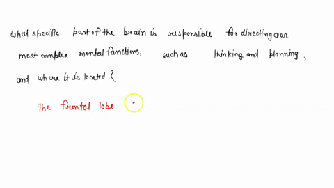what-specific-part-of-the-brain-is-responsible-for-directing-our-most-complex-mental-functions-suc-2-06558