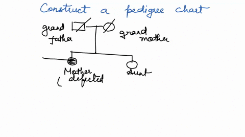 construct-a-pedigree-chart-and-predict-the-likelihood-that-the-patient-has-the-defective-gene-a-25-year-old-woman-is-referred-by-her-primary-care-provider-for-genetic-counseling-when-she-pre-23714
