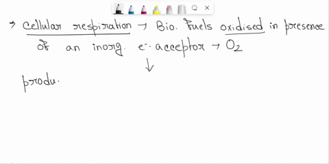 cellular-respiration-is-the-process-by-which-1-energy-from-the-chemical-bonds-of-food-molecules-is-captured-by-an-organism-2-oxygen-is-produced-during-metabolic-activity-3-light-energy-is-co-19142
