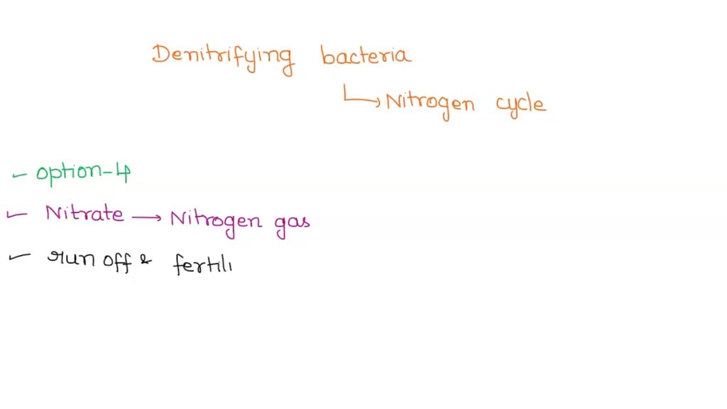 SOLVED: Denitrifying bacteria participate in the nitrogen cycle mainly