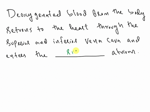 deoxygenated-blood-from-the-body-returns-to-the-heart-through-the-superior-and-inferior-vena-cava-and-enters-the-atriumafter-going-through-the-valveit-enters-the-right-blood-leaves-the-heart-84376