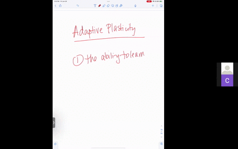 describe-two-features-of-adaptive-plasticity-in-the-brain-44123