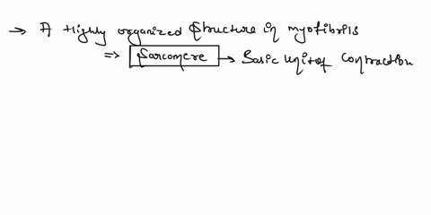 the______-is-the-basic-unit-of-contraction-a-osteoblast-c-myofibril-b-sarcomere-d-myosin-filament-10596