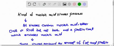 what-kinds-of-nucleic-acids-can-viruses-possess-in-terms-of-the-content-and-polarity-distinguish-between-a-strand-rna-virus-and-a-strand-rna-virus-how-does-the-presence-of-a-specific-type-of-67826