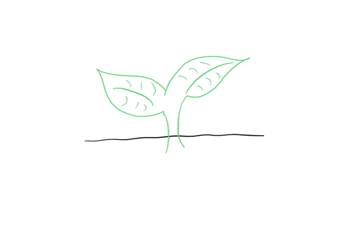how-plants-get-nutrients