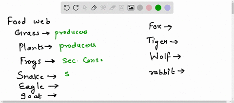 construct-a-food-web-with-grass-plants-frog-snake-eagle-goat-fox-tiger-wolf-rabbit-89943
