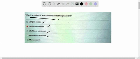 question-25-2-pts-which-organism-is-able-to-withstand-atmospheric-02-obligate-jerobe-facultative-anacrobe-all-of-these-are-correct-acrotolerant-anaerobr-mictoaerophille-questlon-26-2-pts-31879