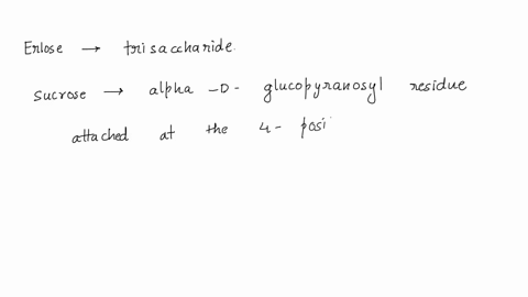 describe-how-the-structure-of-sucrose-differs-from-that-of-erlose-carbohydrates-made-contains-other-in-addition-t0-sucrose-honey-also-molecule-first-and-erlose-by-honeybees-these-include-mal-01408