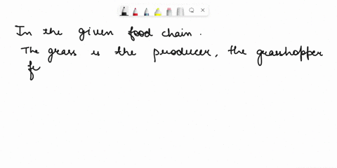 which-of-the-following-is-a-food-chain-in-the-food-web-shown-b-grass-grasshopper-snake-hawk-a-tree-rabbit-hawk-snake-c-grass-caterpillar-robin-hawk-d-tree-deer-mountain-lion-fox-54272