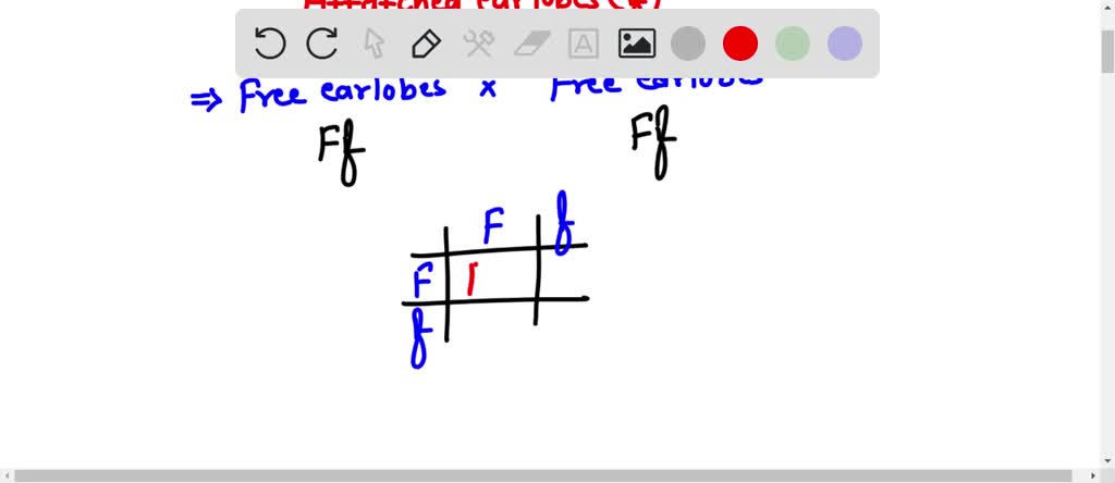 SOLVED: R - tongue rolling r - non-rolling F - free earlobes f