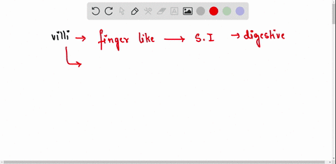 what-is-villi-what-are-its-functions-31313
