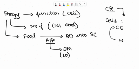 assuming-o2-is-in-abundance-state-the-yield-of-atp-equivalents-atp-gtp-etc-and-electron-carriers-created-by-glucose-oxidation-in-both-the-cytoplasm-and-the-mitochondria-this-should-summarize-00885