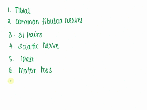 d-spinal-nerves-complete-the-sentences-with-the-correct-term-about-the-spinal-nerves-1-the-sciatic-nerve-is-composed-of-two-nerves-the-epnisvo-ouait-ovior-2-and-the-3there-are-pairs-of-spina-05945