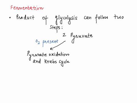 43-two-enzymes-involved-in-fermentation-that-are-not-involved-in-aerobic-glycolysis-are______-and-________-a-hexokinase-and-pyruvate-decarboxylase-b-pyruvate-decarboxylase-lactate-dehydrogen-12385