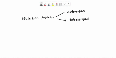 which-of-the-following-pairs-is-mismatched-a-fungiheterotrophic-by-absorption-b-plantsusually-photos-43559