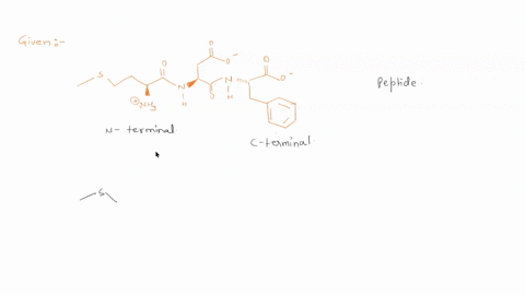 what-is-the-name-of-the-n-terminal-amino-acid-in-the-peptide-shown-above-1-cysteine-2-methionine-3-valine-4-alanine-5-tryptophan-04952
