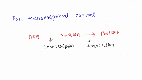 which-of-the-following-are-involved-in-posttranscriptional-control-a-control-of-rna-splicing-b-ubiqu-32373