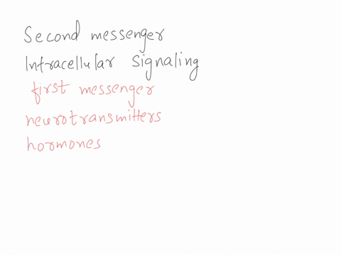 which-of-the-following-is-not-a-second-messenger-in-intracellular-signaling-choose-one-a-ca2-binositol-145-trisphosphate-c-phospholipase-c-d-diacylglycerol-e-cyclic-amp-21114