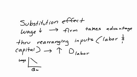 assume-a-firm-hires-labour-and-capital-to-produce-output-outline-the-substitution-and-scale-effect-of-a-wage-decrease-on-the-demand-for-labour-and-the-demand-for-capital