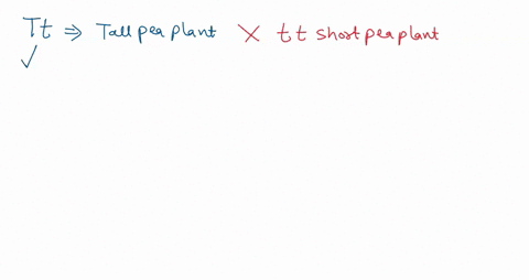 use-the-punnett-square-t0-predict-the-outcome-of-the-heredity-heterozygous-tall-pea-plant-is-crossed-with-a-homozygous-short-pea-plant-what-are-the-phenotypes-of-their-f1-offspring-draw-the-07544