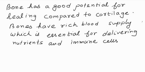 which-do-you-think-would-heal-faster-bone-or-cartilage-why-how-about-stratified-squamous-epithelium-or-simple-cuboidal-epithelium-r-87094