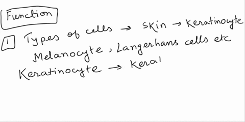 how-does-the-cellular-structure-affect-the-function-for-the-integumentary-system-please-include-types-of-cells-involved-cell-shape-layers-and-importance-of-structure-in-relation-to-function-32485