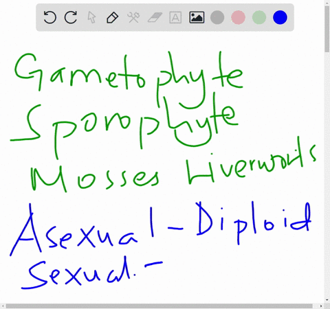 compare-the-relative-dominance-of-the-gametophyte-versus-the-sporophyte-of-the-mosses-and-liverworts-89056