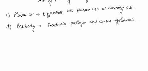 match-each-description-to-the-correct-structure-macrophage-b-lymphocyte-plasma-cell-turns-off-innate-and-acquired-mmune-response-2-has-information-about-antigens-have-been-experienced-3-faci-57502