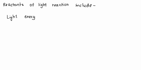 in-the-light-reactions-which-molecules-are-responsible-for-absorbing-light-used-for-photosynthesis-page-2-of-7-what-are-the-reactants-and-products-of-the-light-reactions-what-type-of-energy-04634
