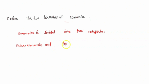 identify-and-define-the-two-branches-of-economics-00504