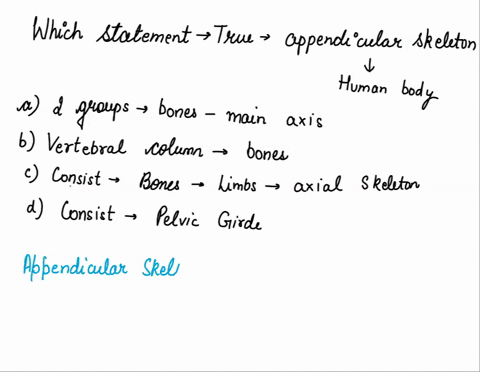 which-statement-is-true-about-the-appendicular-skeleton-of-the-human-body-a-it-consists-of-two-groups-the-bones-along-the-main-axis-and-the-bones-that-connect-the-limbs-to-the-axial-skeleton-88051