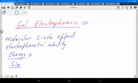 biomolecules-can-be-separated-based-on-their-size-true-false-68356