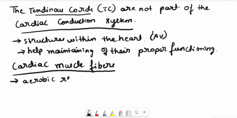 which-of-hese-not-part-of-the-cardiac-conduction-system-the-sinoatrial-sa-node-the-tendinous-cords-tc-atrioventricular-av-node-the-atrioventricular-av-bunclu-purkinje-fbens-bunale-ol-his-the-01798