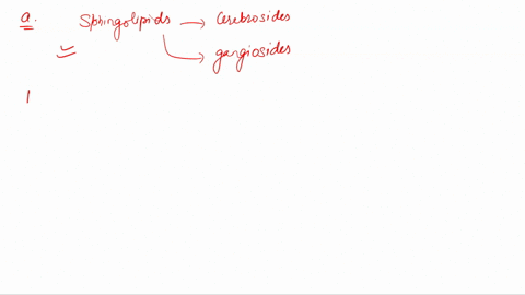which-statement-is-true-of-sphingolipids-a-cerebrosides-and-gangliosides-are-sphingolipids-b-phosphatidylcholine-is-a-typical-sphingolipid-c-they-contain-two-esterified-fatty-acids-d-they-ma-74325