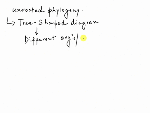 ikszowdladtjwdcab-jupaxfiwgqc9ynik-oedit-last-edit-was-yesterdayat-1222-am-wy-unrocted-phylogeny-iesuico1-understanding-cvolutionary-relationships-you-discovct-fossil-cvidencc-that-you-think-34847