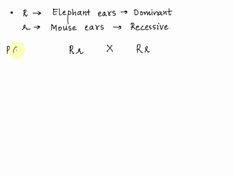 two-heterozygotes-with-elephant-ears-are-mated-together-select-the-possible-phenotype-and-genotypes-for-their-offspring-select-all-that-apply-the-recessive-trait-is-mouse-ears-elephant-ears-75397
