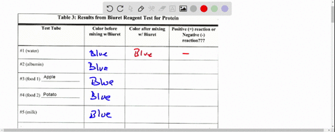 table-3-results-from-biuret-reagent-test-for-protein-test-tube-color-before-color-after-mixing-positive-reaction-or-mixing-wbiuret-wl-biuret-negative-reaction-i-water-2-albumin-3-food-apple-72519