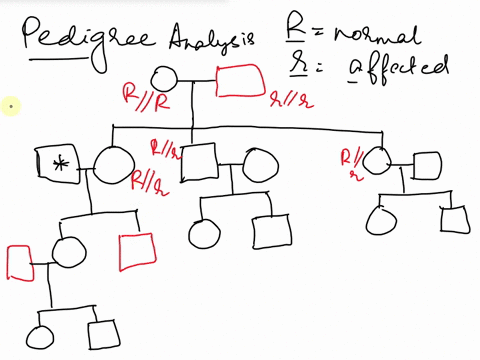 you-are-analyzing-the-following-human-pedigree-assume-that-the-individual-marked-with-an-asterisk-does-not-carry-any-allele-associated-with-the-affected-phenotype-and-that-no-other-mutation-08456