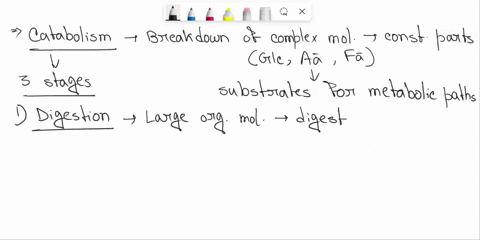 2-choose-all-of-the-answers-that-apply-to-catabolic-metabolism-check-all-that-apply-breaks-down-larger-molecules-into-smaller-ones-involved-in-digestion-dehydration-synthesis-is-an-example-r-48681