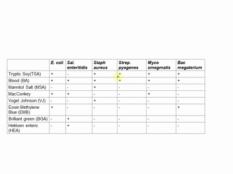 results-chart-for-interpretation-morphological-unknown-eeucob4-salmonella-staphylococcus-streptococcus-mycobacterium-bacillus-coli-enteritidis-urens-prggeres-smegmalis-megaterium-tryptic-soy-25766