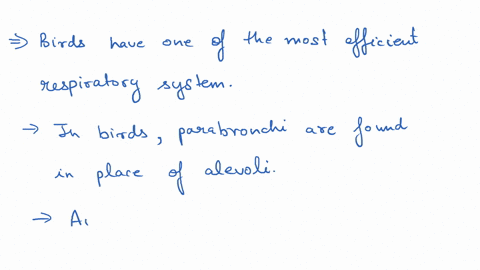 in-a-bird-the-correct-sequence-for-a-breath-of-air-is-1-anterior-air-sacs-2-posterior-air-sacs-3-p-3-56852