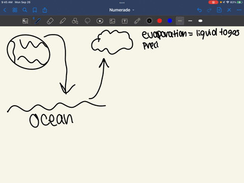 which-sequence-of-processes-transports-water-from-the-atmosphere-to-the-ocean-and-then-back-into-a-cloud-precipitation-condensation-transpiration-evaporation-condensation-sublimation-precipi-37014