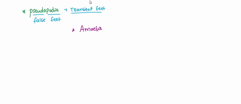 which-type-of-protist-contain-pseudopodia-a-slime-mold-b-algae-c-protozoans-d-amoeba-75118