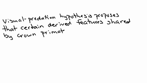 describe-the-visual-perdition-hypothesis